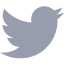 Twitter Icon
